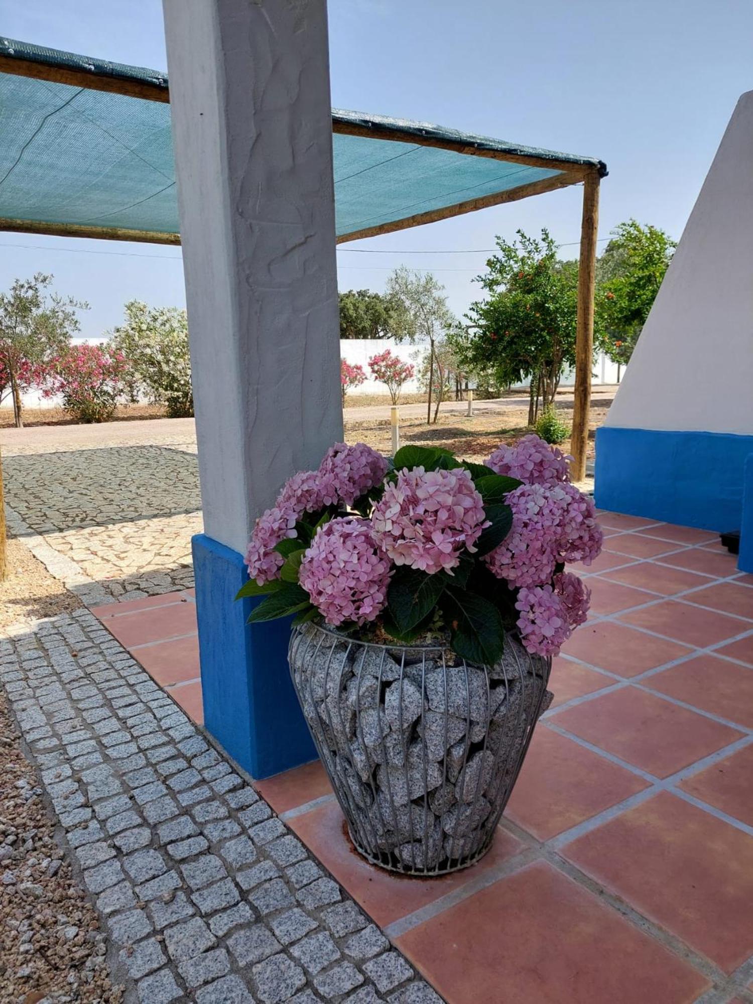 Monte Do Sobreiro Vimieiro (Evora)